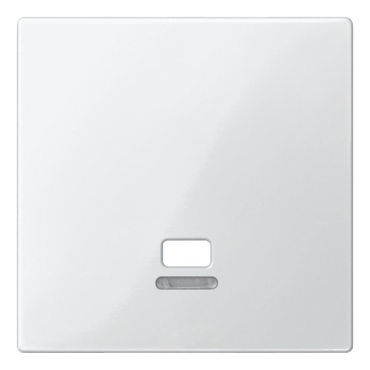 Накладка на выключатель со шнуром Schneider Electric MERTEN SYSTEM M, белый, MTN3380-0319