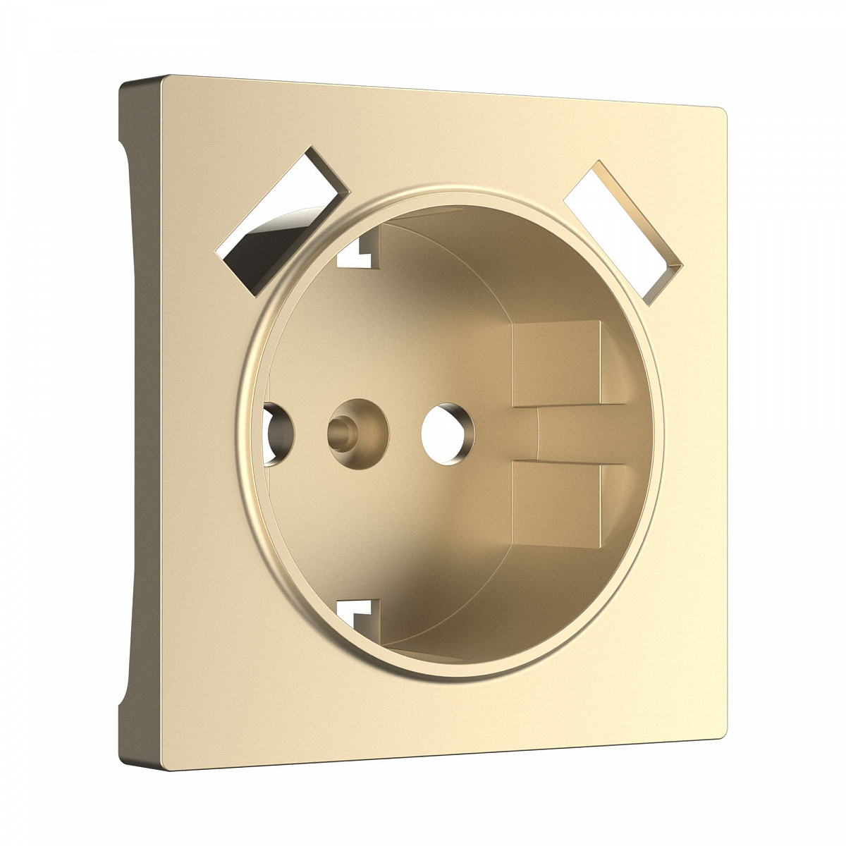 Накладка для USB розетки шампань W1179511